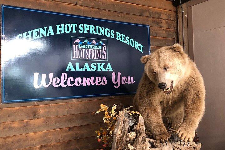Northern Lights & Chena Hot Springs Tour
