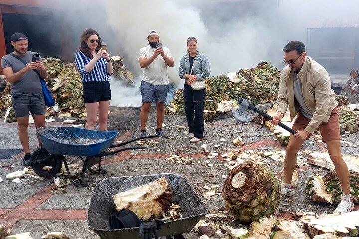 Experience the Mezcal Tour in Oaxaca