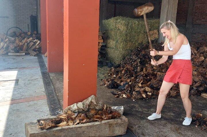 Experience the Mezcal Tour in Oaxaca