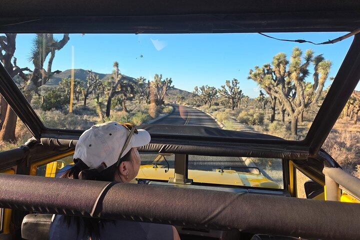 Joshua Tree Open Air Hummer Adventure