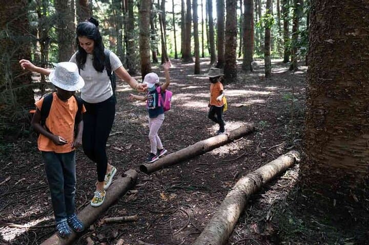 Karura Forest and Fairview Coffee Farm Private Day Tour