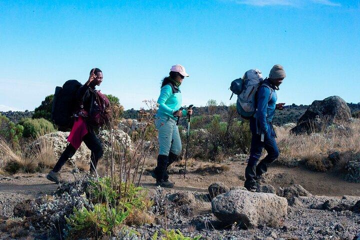 The Best of Machame Route in 6 Days: Your World's Summit Guide