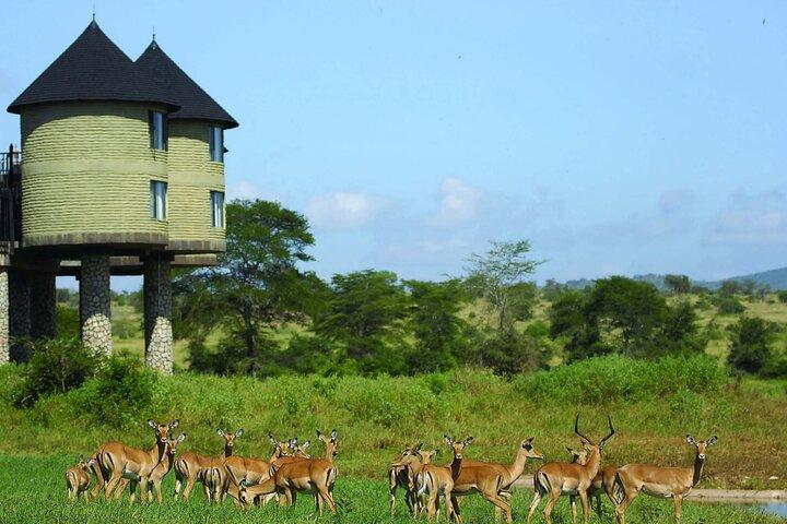 Private overnight To Saltlick Safari Lodge From Mombasa