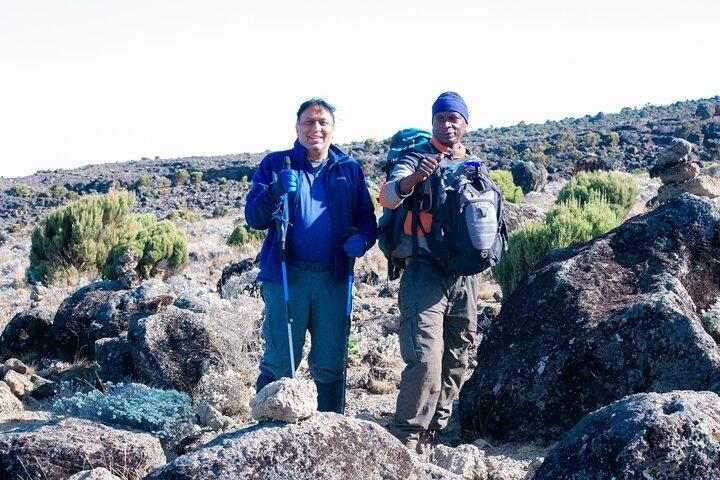 Affordable 7-day Machame Route on Kilimanjaro Group Hiking Tour