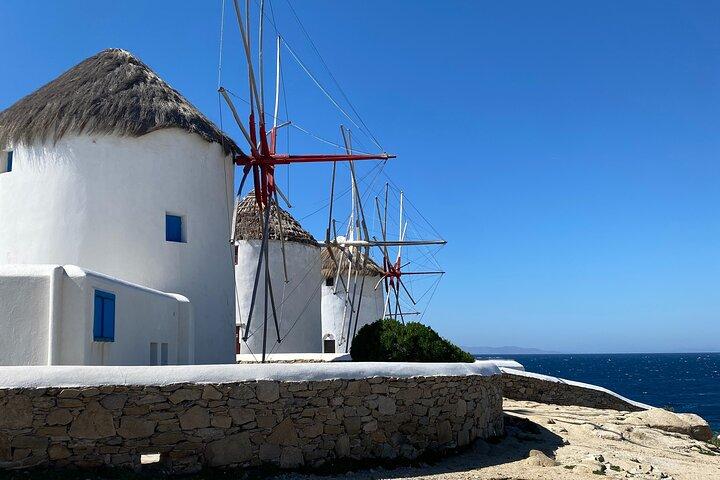 Mykonos in a Day Cruise Passenger Small Group Tour