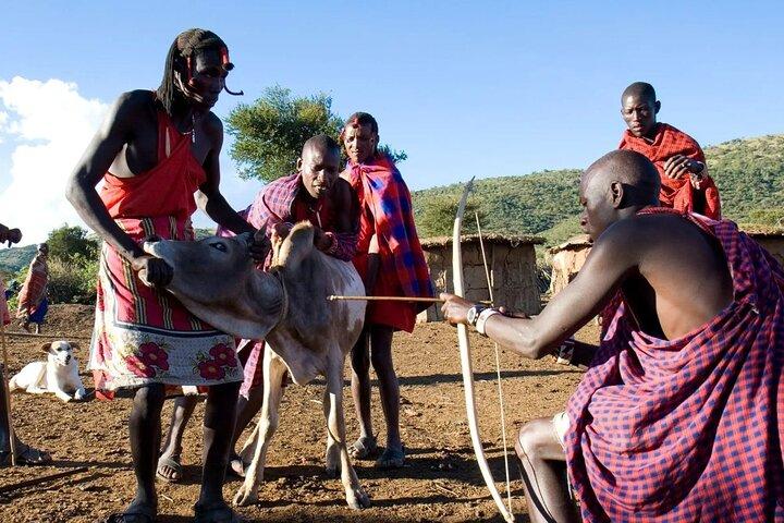Masai Village Visit From Nairobi Day Tour