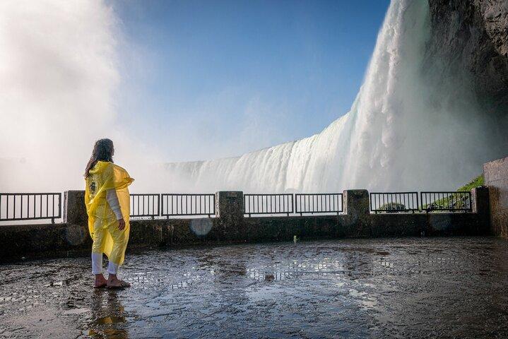 Guided Day in Niagara Falls from Toronto with Boat Ride Option
