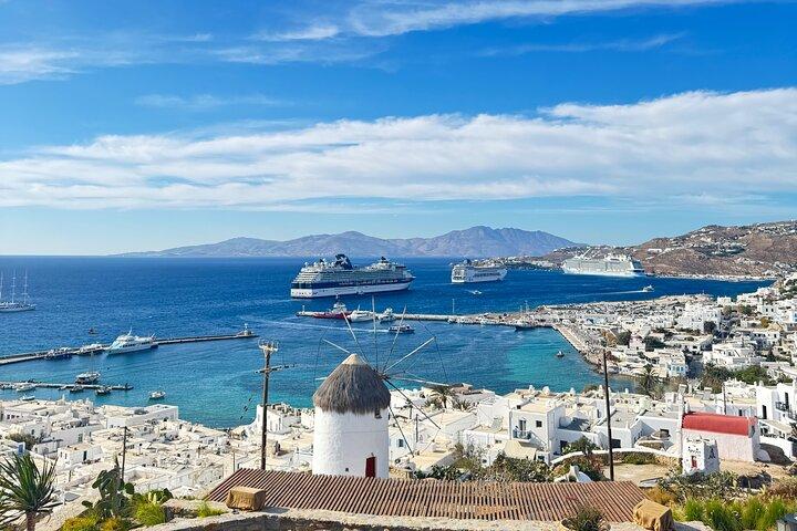 Mykonos Half Day Private Tour - Explore the Island with a Local