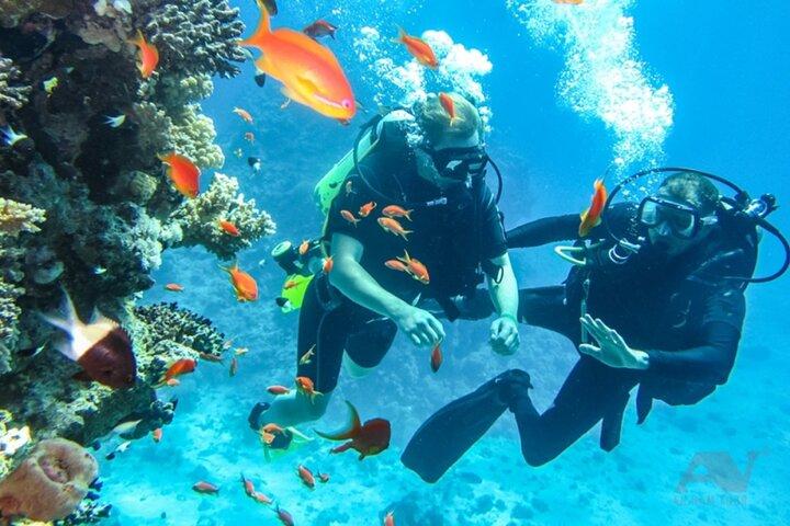 Nha Trang Scuba Diving Experience Explore Colorful Coral Reefs
