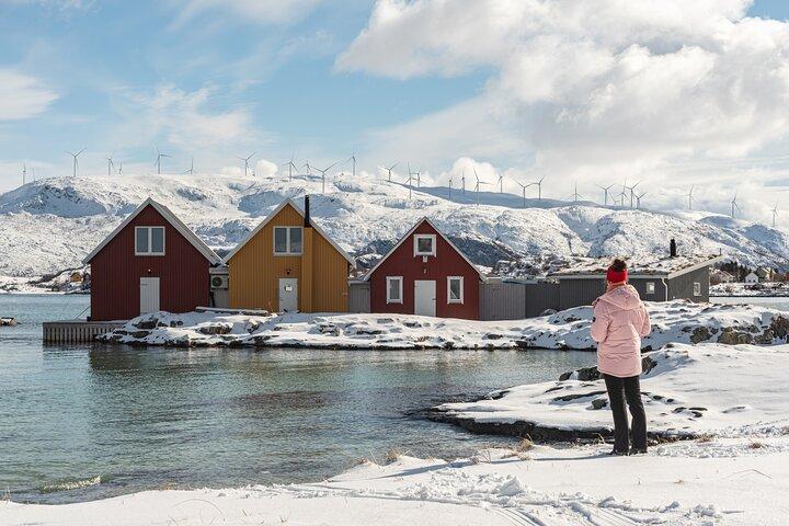 Tromsø: Kvaløya & Sommarøy Guided Fjord Tour with Lunch