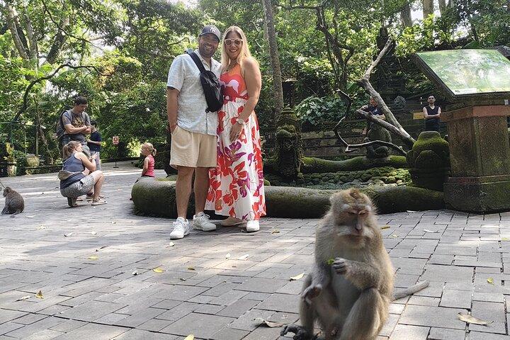 Bali Ubud Tour Monkey Forest, Rice Terrace, Swing, Waterfall, etc