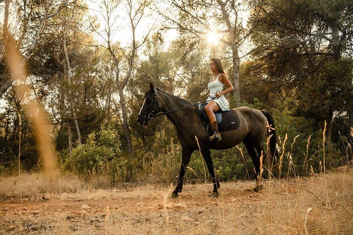 Florence: Private Chianti Horseback Riding Wine Tasting and Lunch