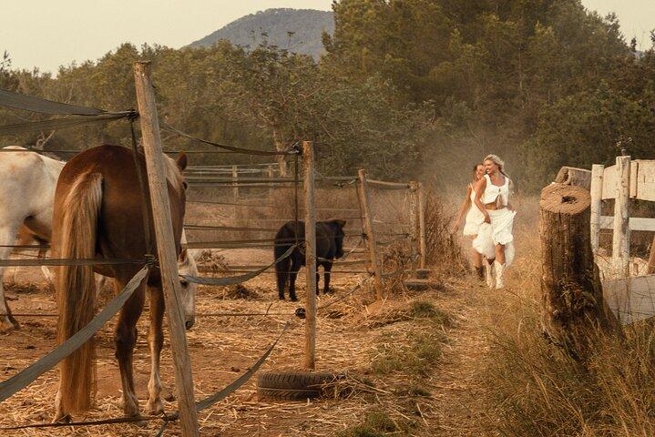 Florence: Private Chianti Horseback Riding Wine Tasting and Lunch