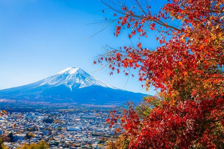 Mt Fuji/Hakone/Yokohama Tokyo customize Private Tour