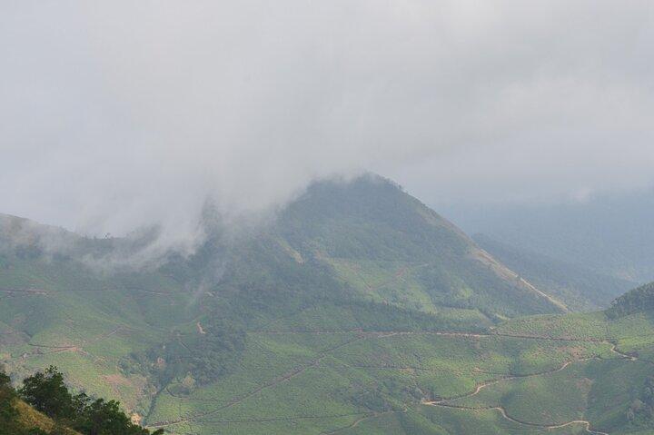 5 Days Kerala Tour with Private Car Houseboat Munnar and Thekkady