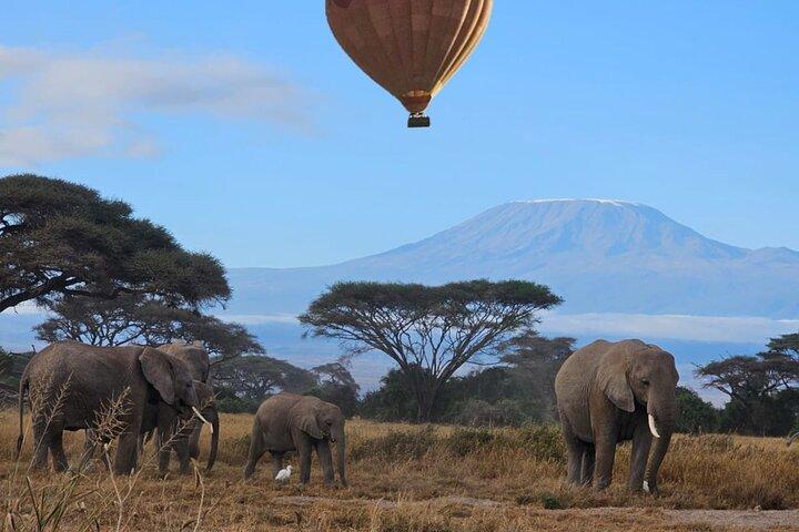 Amboseli National Park Day Trip: Elephants and Kilimanjaro Views