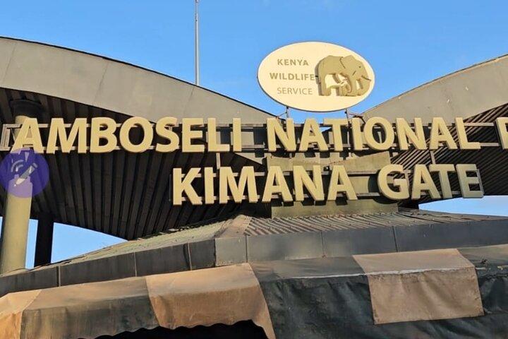 Amboseli National Park Day Trip: Elephants and Kilimanjaro Views