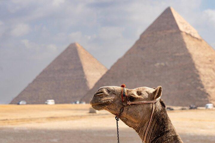 From Sharm El Sheikh: Cairo Pyramids Full-Day Tour by Plane