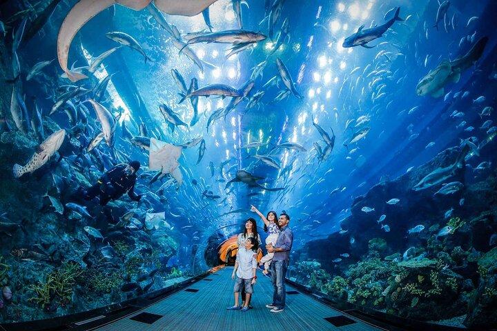 Istanbul Aquarium Tour with Hotel Transfer