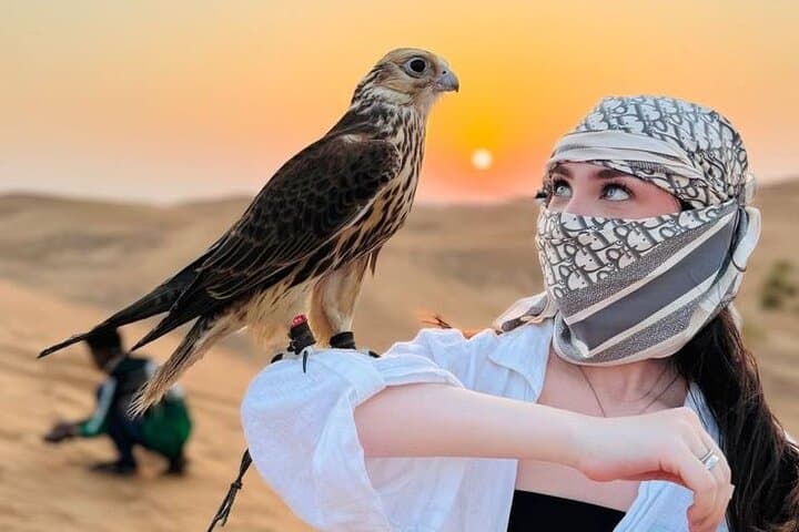 Dubai Morning Red Dunes Desert Safari, Camel Ride & Falcon Photo