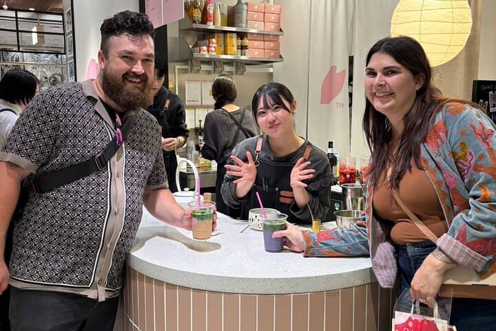 Akihabara Flavors and Anime Fun Private Guided Tour for All Ages