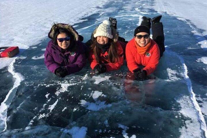 Columbia Icefield Adventure, Skywalk, Peyto Lake and Glacier Tour
