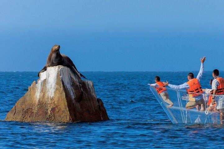 Cabo San Lucas Arc Transparent Boat Tour