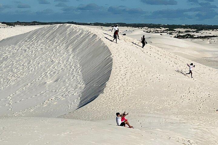 Small group 4WD Pinnacles Desert & Sand Boarding Adventure