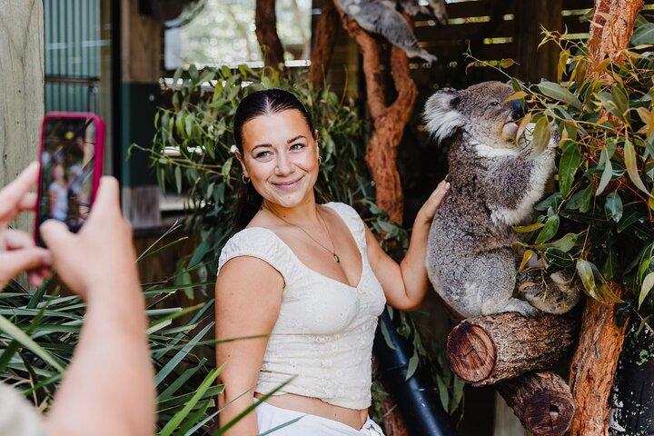 From Sydney: Day Tour to Jervis Bay with Beaches and Koalas