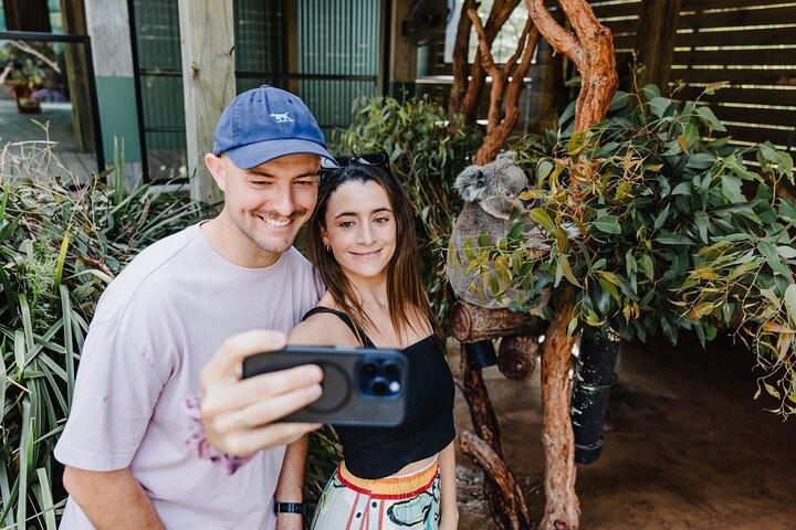 Day Tour from Sydney to Jervis Bay with Beaches and Koalas