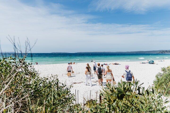 From Sydney: Day Tour to Jervis Bay with Beaches and Koalas