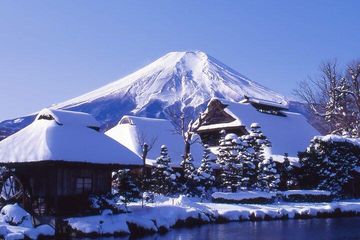 Mount Fuji Panoramic Day Trip from Tokyo