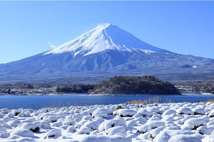 Mount Fuji Panoramic Day Trip from Tokyo