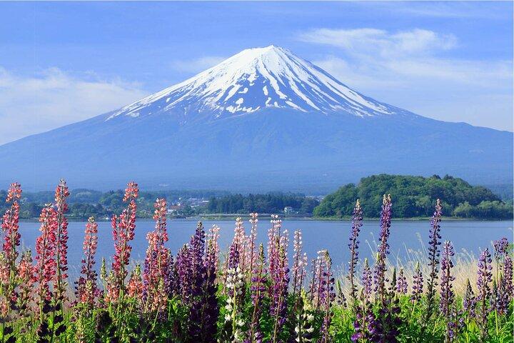 Mount Fuji Panoramic Day Trip from Tokyo