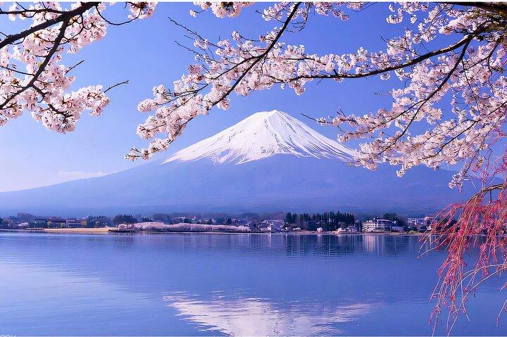 Mount Fuji Panoramic Day Trip from Tokyo