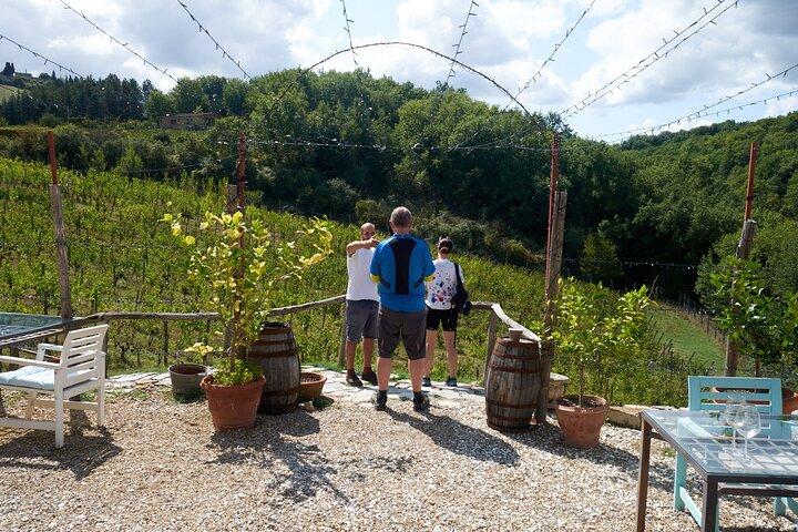 Chianti Wine Tour from Florence with 3 Wineries and Tuscan Lunch