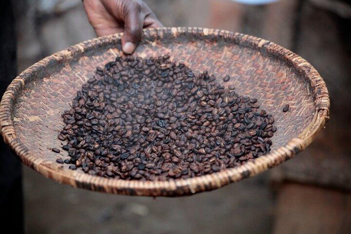Authentic Arusha Coffee Experience
