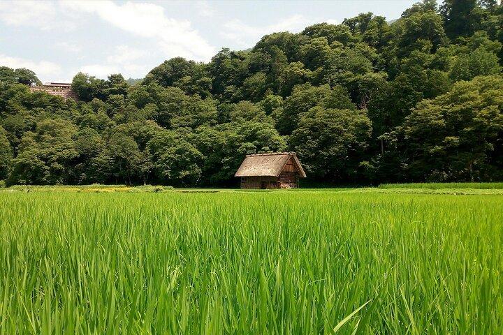 Shirakawago & Kanazawa from Tokyo by bullet train