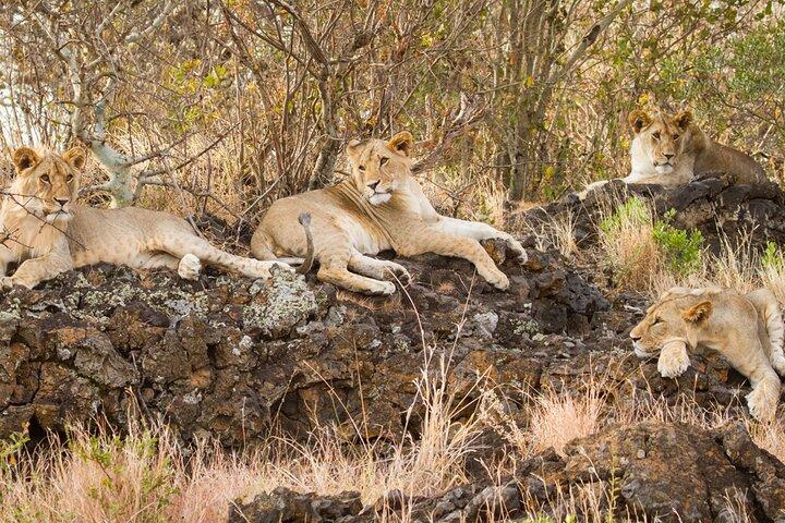 Private Tour to Amboseli National Park