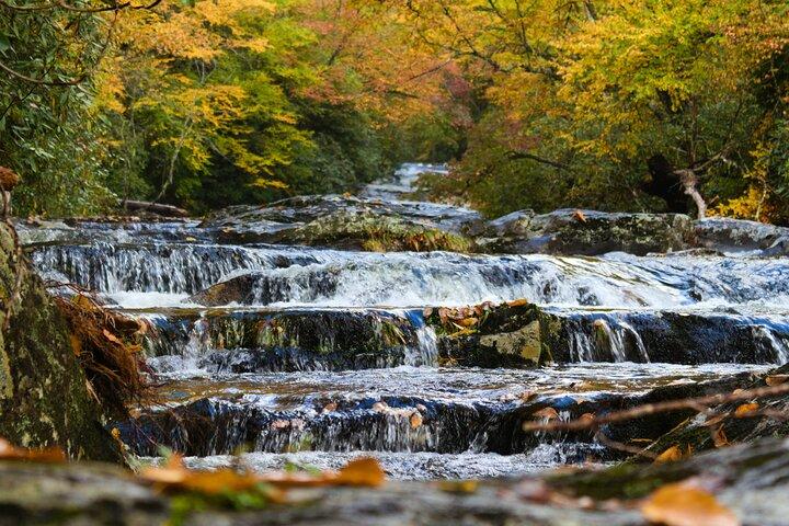 Great Smoky Mountains Self-Guided Scenic Drive and Audio Tour