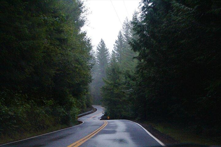 Great Smoky Mountains Self-Guided Scenic Drive and Audio Tour