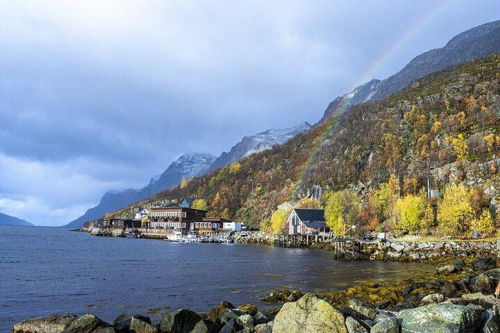 Tromsø: Fjord Adventure Tour with Wildlife and Lunch