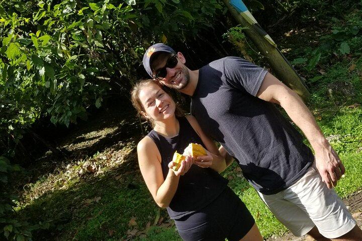 St Lucia Soufriere Private Chocolate Tour