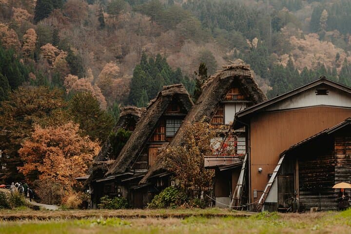 Shirakawago & Kanazawa from Tokyo by bullet train