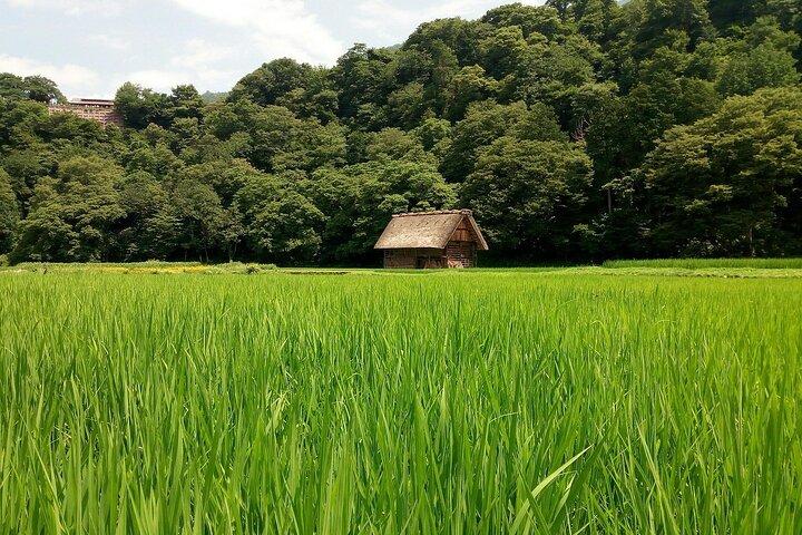 Shirakawago & Kanazawa from Kyoto by bullet train