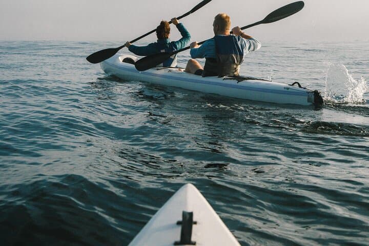 Dolphin kayaking tours Cape Town marine excursion