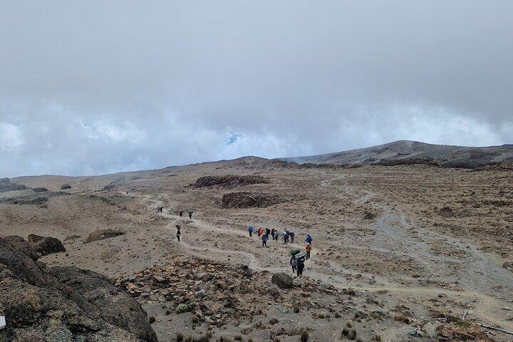 Kilimanjaro Trek Via the Machame Route