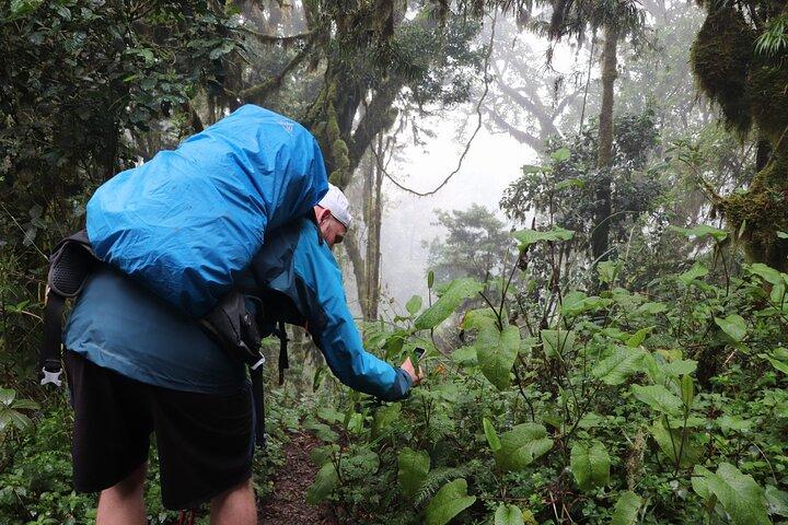 Kilimanjaro Trek Via the Machame Route