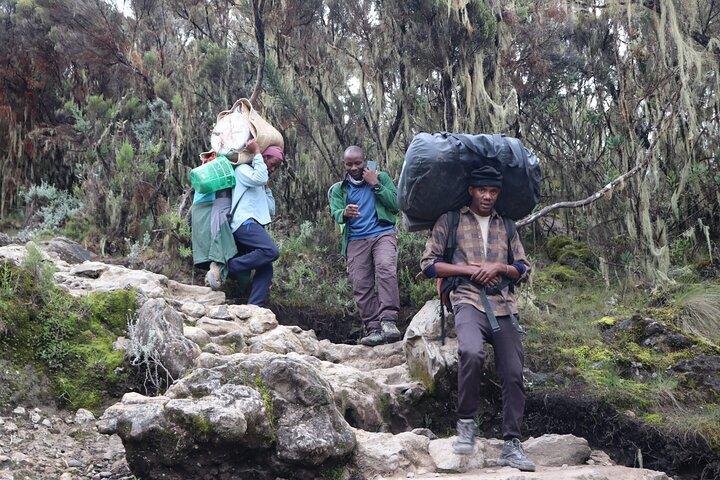 Kilimanjaro Trek Via the Machame Route
