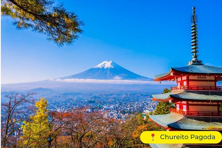 Mt. Fuji Private Day Trip from Tokyo with English-Speaking Driver